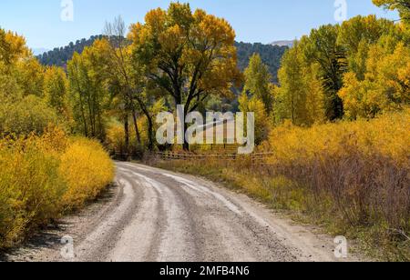 Route de campagne d'automne - vue d'automne le matin d'une route arrière-pays sinueuse à travers un ranch de montagne. CR 9, alias West Dallas Road, Ridgway-Telluride, CO Banque D'Images