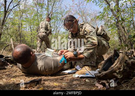 Des soldats affectés au quartier général et au quartier général de la Compagnie et de la Compagnie Bravo, 1st Bataillon, 502nd Régiment d'infanterie “PREMIÈRE GRÈVE”, 2nd Brigade combat Team “GRÈVE”, 101st Airborne Division (Air Assault), effectuent des soins de victimes de combat tactique le 19 août 2022 dans la zone d'entraînement de Babadag, en Roumanie. 101st unités soutiendront la mission du V corps pour renforcer le flanc est de l’OTAN et s’engageront dans des exercices multinationaux avec des partenaires à travers le continent européen pour rassurer nos alliés des nations. Banque D'Images