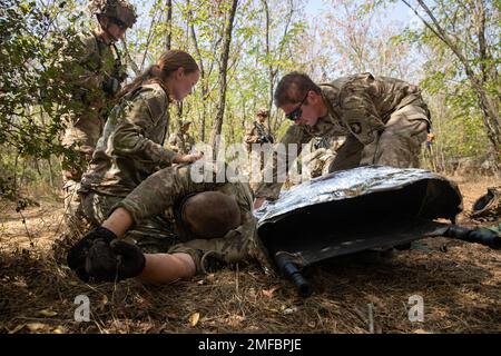 Des soldats affectés au quartier général et au quartier général de la Compagnie et de la Compagnie Bravo, 1st Bataillon, 502nd Régiment d'infanterie “PREMIÈRE GRÈVE”, 2nd Brigade combat Team “GRÈVE”, 101st Airborne Division (Air Assault), effectuent des soins de victimes de combat tactique le 19 août 2022 dans la zone d'entraînement de Babadag, en Roumanie. 101st unités soutiendront la mission du V corps pour renforcer le flanc est de l’OTAN et s’engageront dans des exercices multinationaux avec des partenaires à travers le continent européen pour rassurer nos alliés des nations. Banque D'Images