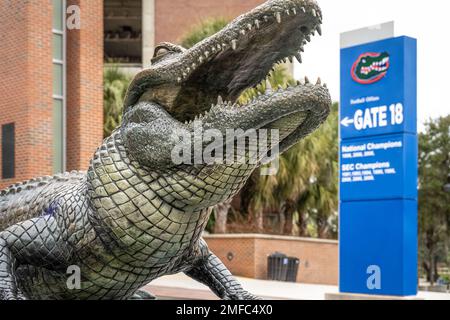 Statue de Bull Gator à l'extérieur du stade Ben Hill Griffin de l'Université de Floride à Gainesville, Floride. (ÉTATS-UNIS) Banque D'Images