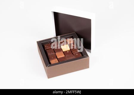 Assortiment de friandises de pralines au chocolat artisanal fin de variété dans une boîte ouverte Banque D'Images