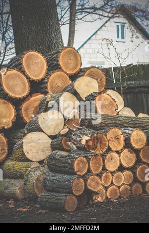 Gros plan sur la pile de bois de chauffage photo concept Banque D'Images