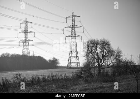 De grands pylônes d'électricité sur les terres agricoles de Notinghamshire, au Royaume-Uni Banque D'Images