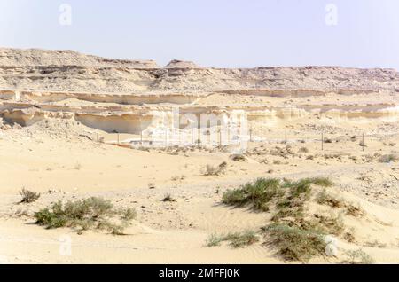 BU Salwa Shelf Hills Desert paysage avec des hilocks de calcaire en arrière-plan, Qatar Banque D'Images