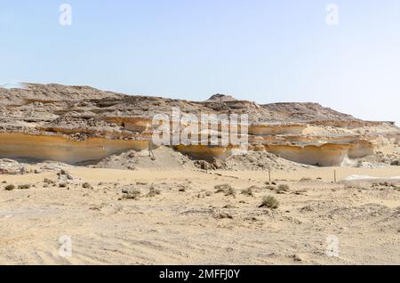 BU Salwa Shelf Hills Desert paysage avec des hilocks de calcaire en arrière-plan, Qatar Banque D'Images