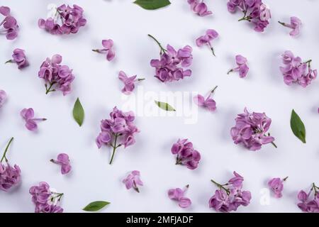 Arrière-plan de fleurs de lilas pourpres sur un fond blanc.Eté fond lumineux, floral ou conception de plantes. Banque D'Images