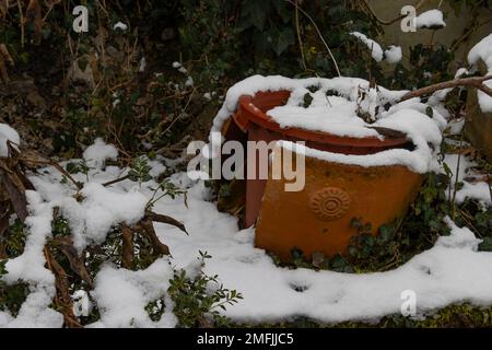 Dommages causés par le gel d'une terre cuite en hiver Banque D'Images