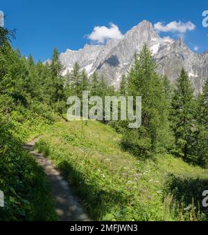 Le massif des Grands Jorasses de la vallée du Val Ferret en Italie - Trekking Mont Blank. Banque D'Images