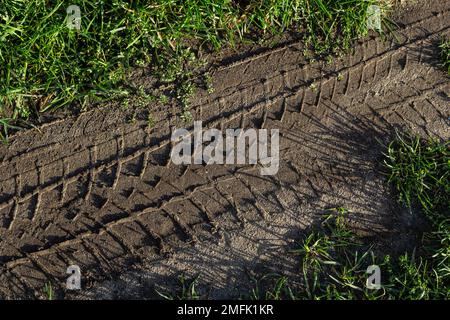 Un sentier de pneus de tracteur profond sur une pelouse verte dans un champ, une industrie agricole ou un concept de parc. Banque D'Images