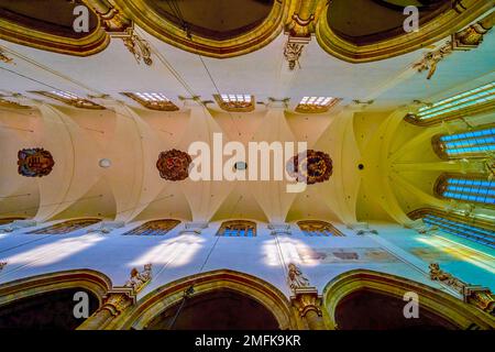 PRAGUE, TCHÉQUIE - 11 MARS 2022 : la voûte centrale de l'église notre-Dame avant Tyn avec des fresques de Coats d'armes, sur 11 mars à Prague, Tchéquie Banque D'Images