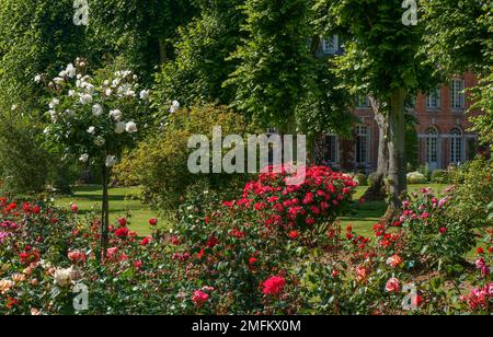 Roseraie du Château de Mesnil Geoffroy Banque D'Images