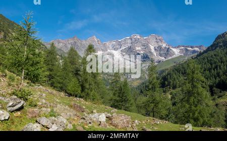 La Punta Gnifetti ou Signalkuppe, Parrotspitze, Ludwigshohe, Piramide Vincent Peaks - vallée de la Valsie. Banque D'Images