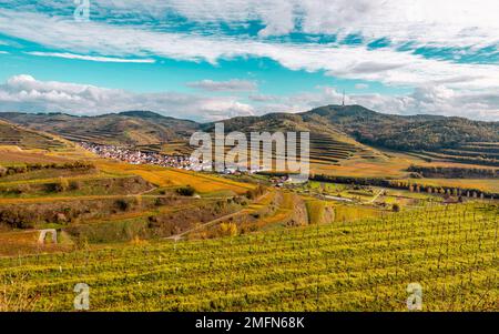 Vignobles d'automne dans le Kaiserstuhl Allemagne Banque D'Images