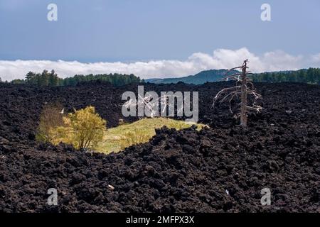 Paysage avec lave solidifiée sur les pentes du Mt. Etna, avec plus de 3350 m le plus haut volcan d'Europe. Banque D'Images