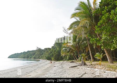 Plage immaculée sur Pulau Tiga ou Survivor Island, parc national Pulau Tiga, mer de Chine méridionale, Sabah, Bornéo, Malaisie Banque D'Images