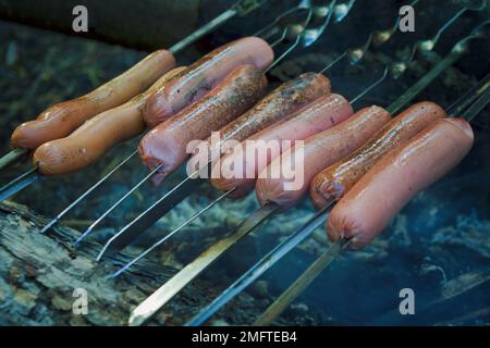 Les saucisses sont frites sur des brochettes sur des plats à base de charbon sur le gril. Préparer la nourriture pour un pique-nique. Banque D'Images