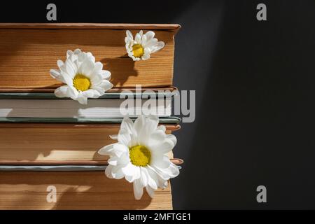 composition créative avec des livres de fleur Banque D'Images