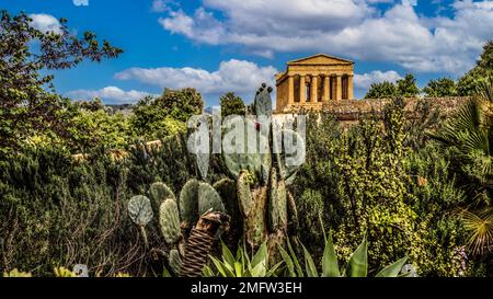 Temple de Concordia, 425 av. J.-C., un des temples les mieux conservés, Vallée des temples, Agrigente, Sicile, Agrigente, Sicile, Italie Banque D'Images