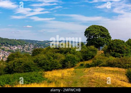 Will Shore's Tree sur lequel William Wordsworth a écrit un réseau sonore Près d'Oaker dans le parc national de Derbyshire Dales Peak District Angleterre Royaume-Uni Banque D'Images