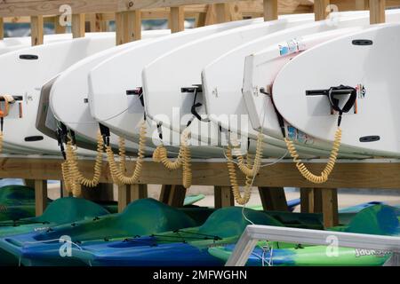 Planches à voile à Washington Sailing Marina Banque D'Images