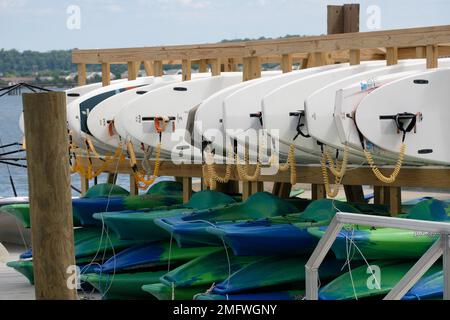 Planches à voile à Washington Sailing Marina Banque D'Images