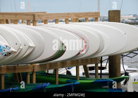Planches à voile à Washington Sailing Marina Banque D'Images