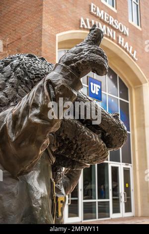 Statue en bronze d'Albert, la mascotte des alligators de l'université de Floride, à côté du Hall des anciens d'Emerson et en face du stade Ben Hill Griffin de l'université. Banque D'Images