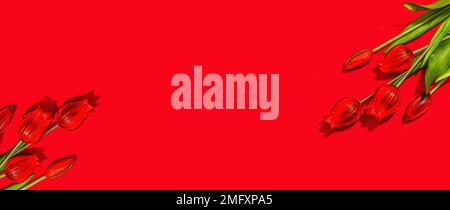 Concept cadeau de la Saint-Valentin. Fond rouge romantique avec bouquet de tulipes lumineux. Lumière dure, ombre foncée, style minimaliste, pose à plat, format bannière Banque D'Images