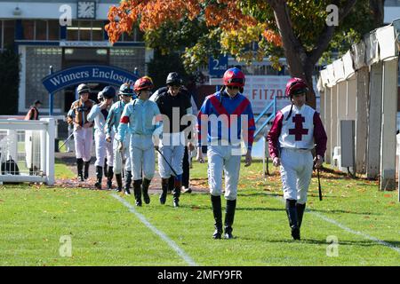 Windsor, Berkshire, Royaume-Uni. 10th octobre 2022. Crédit : Maureen McLean/Alay Banque D'Images