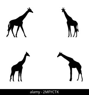 Ensemble de silhouettes de girafes vecteur Illustration de Vecteur