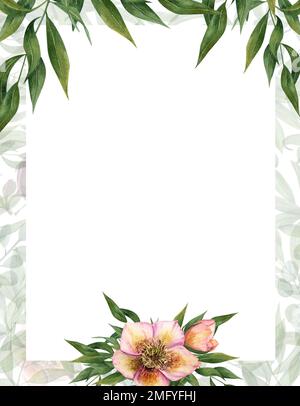 Carte d'aquarelle carte de fleur avec hellébores, eucalyptus. Modèle pour carte postale, Enregistrer la date, Saint-Valentin, anniversaire, mariage, cartes de fête des mères Banque D'Images