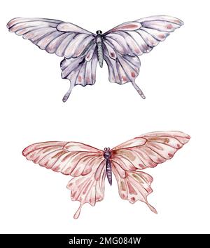 Papillons multicolores aquarelle, isolés sur fond blanc. Illustration de printemps Tawny Monarch Butterfly.Cute peint à la main illustration de conte de fées Banque D'Images