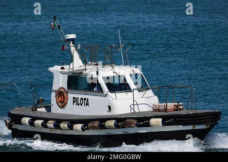 Bateau pilote utilisé pour transporter des pilotes maritimes entre le sol et les navires entrants ou sortants qu'ils pilotent. Banque D'Images