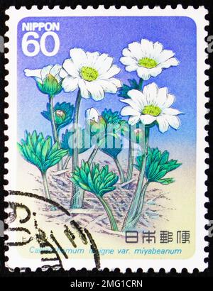 MOSCOU, RUSSIE - 25 DÉCEMBRE 2022: Timbre-poste imprimé au Japon montre Callianthemum, série de plantes alpines (série 5th), vers 1985 Banque D'Images