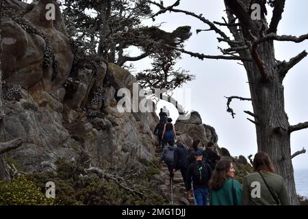 Institut des langues de la Défense les étudiants du Centre des langues étrangères participent à une randonnée spirituelle en résilience du DLIFLC à la réserve naturelle de point Lobos, Carmel-by-the-Sea, en Californie, le 20 août. Banque D'Images