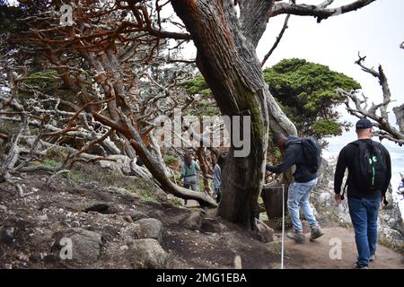 Institut des langues de la Défense les étudiants du Centre des langues étrangères participent à une randonnée spirituelle en résilience du DLIFLC à la réserve naturelle de point Lobos, Carmel-by-the-Sea, en Californie, le 20 août. Banque D'Images