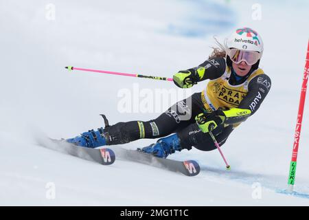 Kronplatz, Tyrol du Sud, Italie. 25th janvier 2023. 2023 Audi FIS ski World Cup, Kronplatz; Marta Bassino (ITA) crédit: Action plus Sports/Alay Live News Banque D'Images