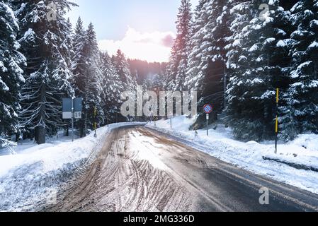 Route alpine sinueuse dégagée de neige à travers une forêt dense de pins enneigés au coucher du soleil en hiver. Évasement d'objectif. Banque D'Images