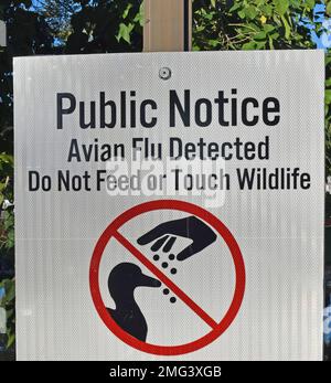 Grippe aviaire détectée, veuillez ne pas nourrir ou toucher la faune, panneau d'avis public à un étang de parc Union City Civic Center, Californie Banque D'Images