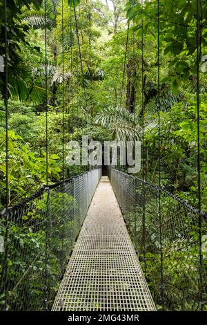 Pont suspendu aux ponts suspendus Mistico Arenal, province d'Alajuela, Costa Rica. Banque D'Images