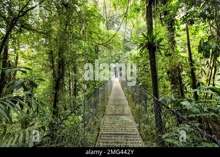 Pont suspendu aux ponts suspendus Mistico Arenal, province d'Alajuela, Costa Rica. Banque D'Images