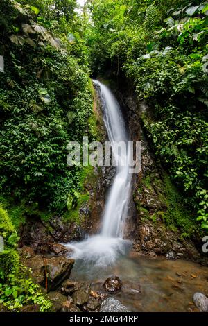 Cascade au parc Mistico Arenal Hanging Bridges, province d'Alajuela, Costa Rica. Banque D'Images