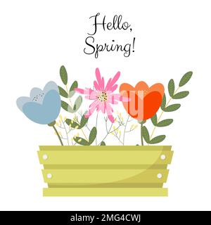Bouquet de fleurs de printemps à l'intérieur de la boîte avec texte Hello Spring. Conception plate Illustration de Vecteur