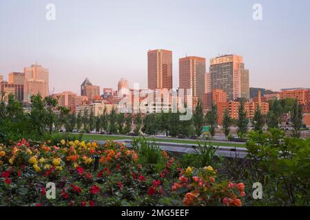 Horizon de Montréal avec vue sur le complexe Desjardins et le bâtiment Hydro Québec au lever du soleil, Québec, Canada. Banque D'Images