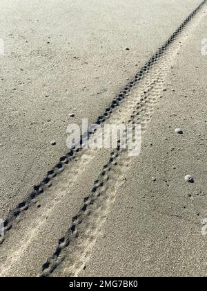 Pistes de pneus de VTT sur une plage de sable humide Banque D'Images