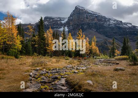 Vue depuis les autres ares sur la piste Plain of six Glaciers près du salon de thé, parc national Banff, Canada. Banque D'Images