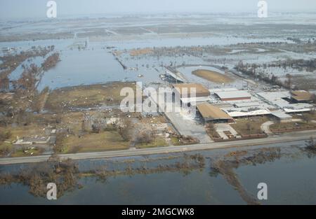 Sauvetage des dauphins - 26-HK-130-77. Ouragan Katrina Banque D'Images