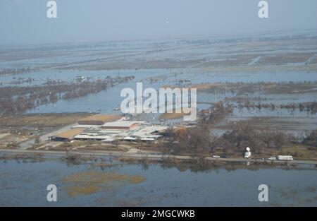 Sauvetage des dauphins - 26-HK-130-74. Ouragan Katrina Banque D'Images