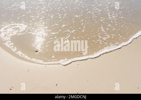 Bord de mer et de sable détail rapproché d'un bord de mer Banque D'Images
