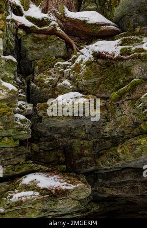 La neige se trouve sur les rochers d'un ancien rivage avec un cèdre qui pousse au sommet, le parc Walt's Woods LandTrust, dans le comté de Door, Wisconsin Banque D'Images